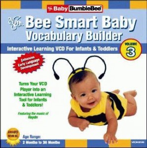 Baby Bumblebee Vocabulary Builder