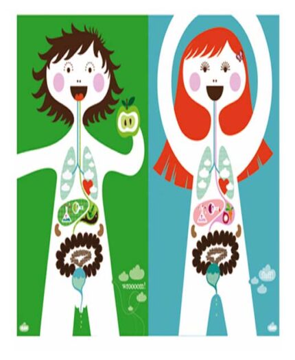 how body work for children