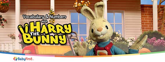 harry bunny