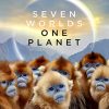 Seven Worlds One Planet