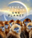 Seven Worlds One Planet